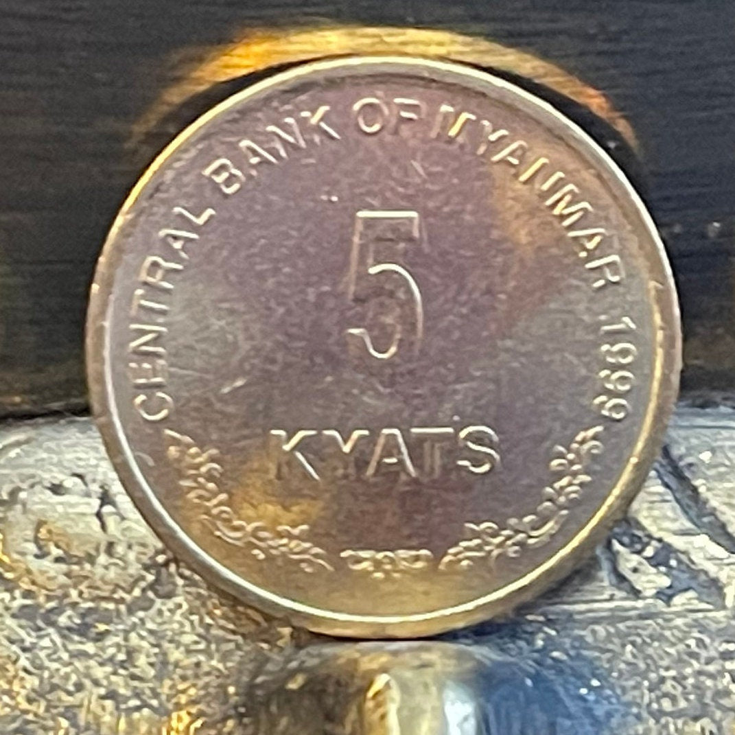 Chinthe Lion Myanmar 5 Kyats Authentic Coin Money for Jewelry and Craft Making (Leogryph)