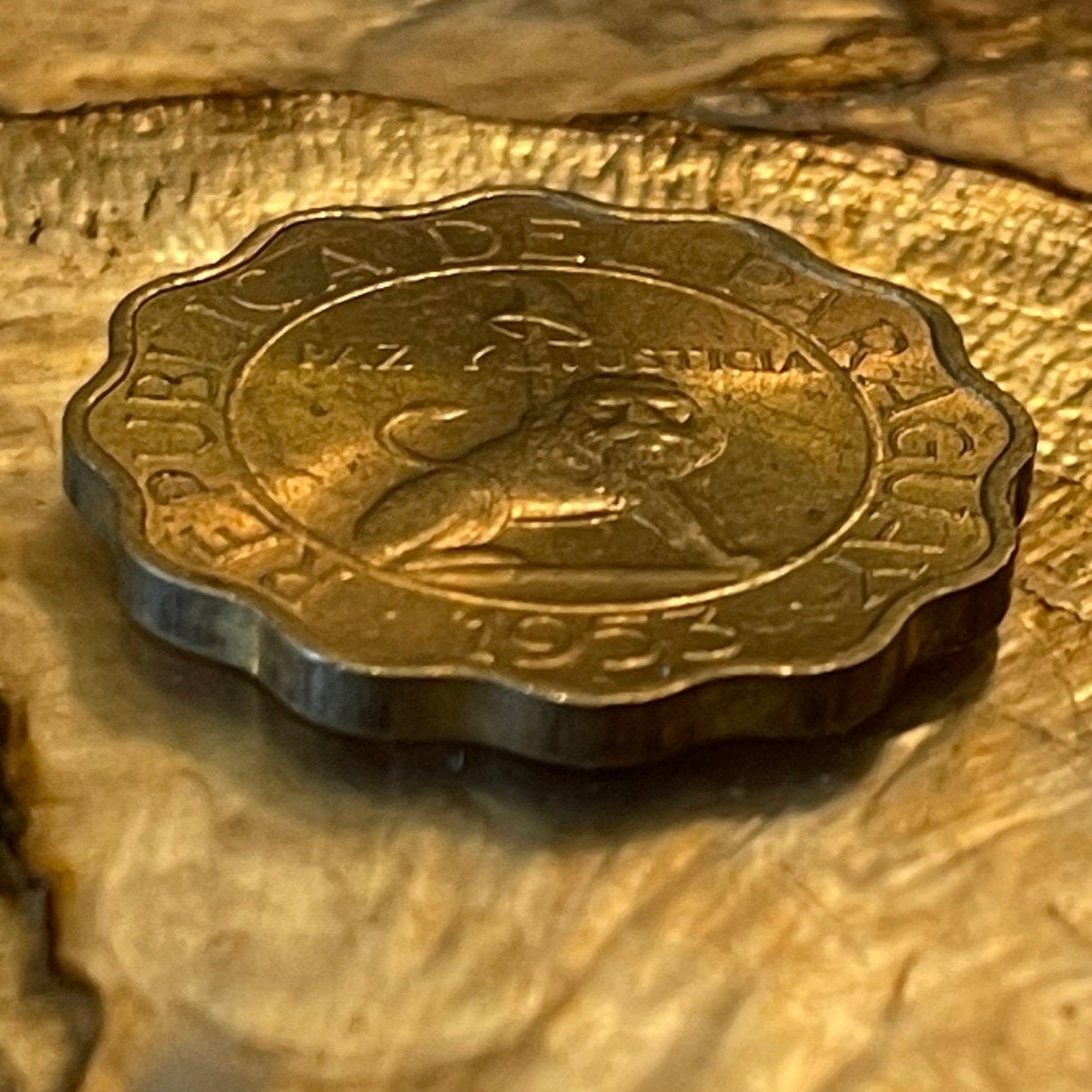 Lion Paraguay 50 Centimos Authentic 1953 Coin Money for Jewelry and Craft Making