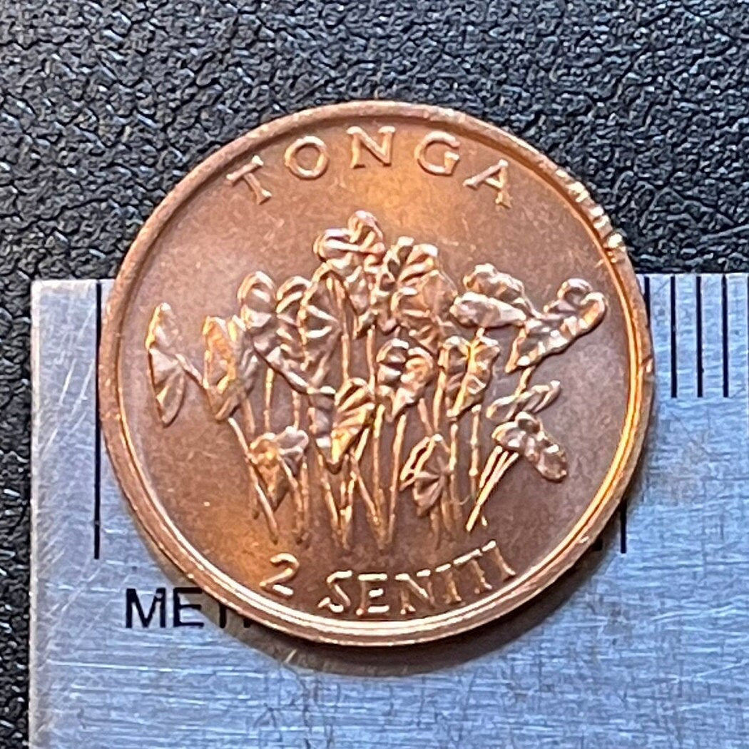 Taro Plant & "Food For All" 2 Seniti Tonga Authentic Coin Money for Jewelry and Craft Making (Family Planning) (United Nations)