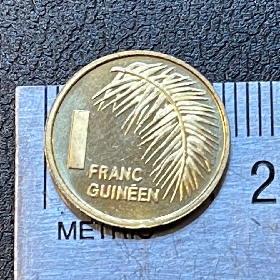 Palm Tree 1 Franc Guinea Authentic Coin Money for Jewelry and Craft Making