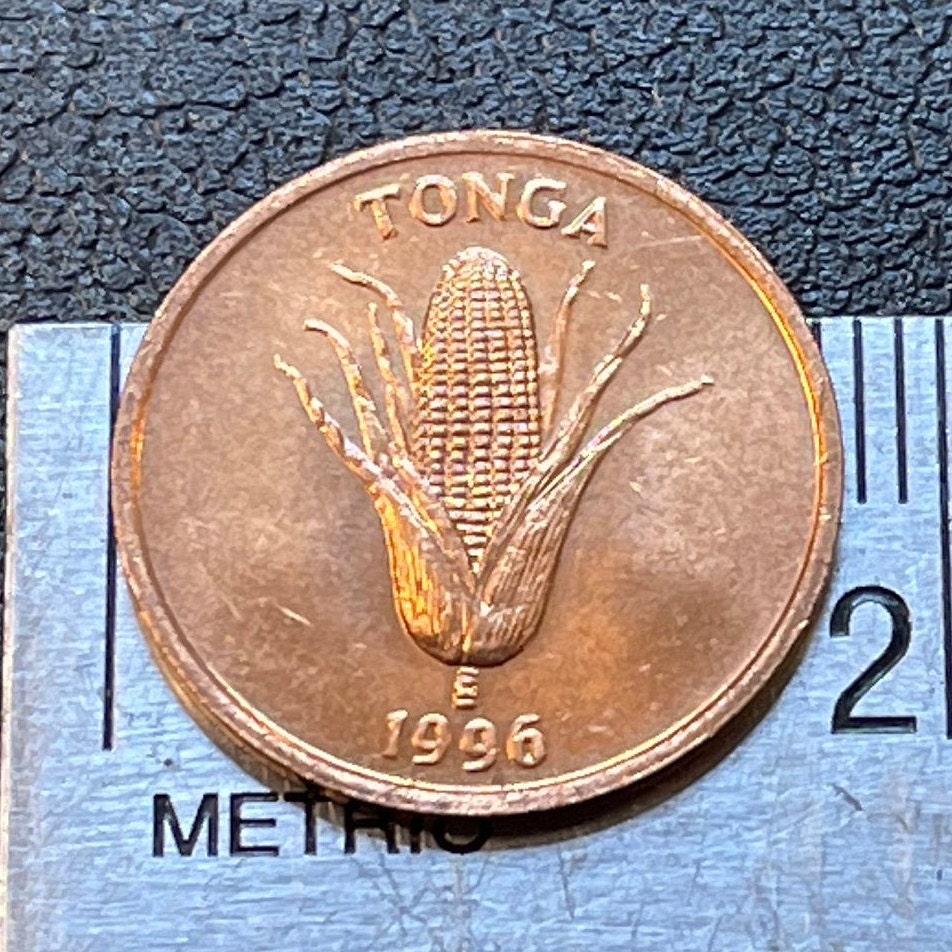 Ear of Corn & Vanilla Plant "Grow More Food" 1 Seniti Tonga Authentic Coin Money for Jewelry and Craft Making (World Food Day)