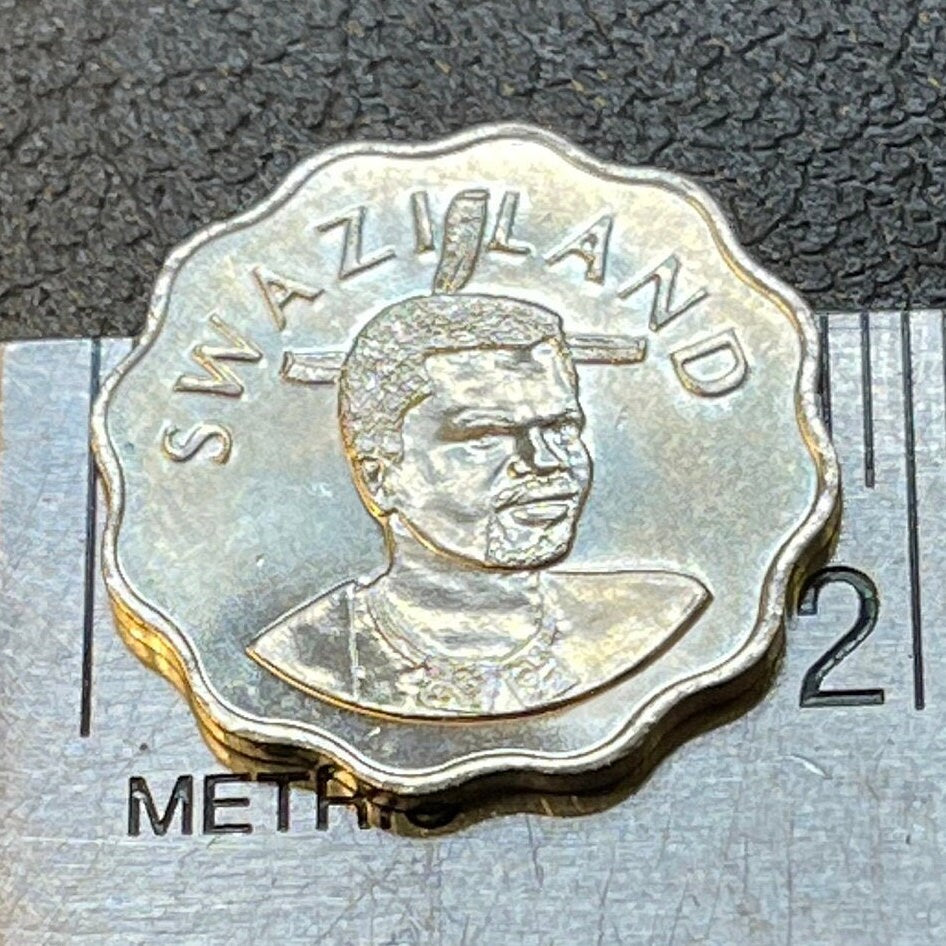 Calla Lily 5 Cents Swaziland Authentic Coin Money for Jewelry and Craft Making