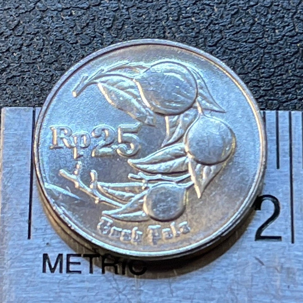 Nutmeg & Garuda 25 Rupiah Indonesia Authentic Coin Money for Jewelry a ...