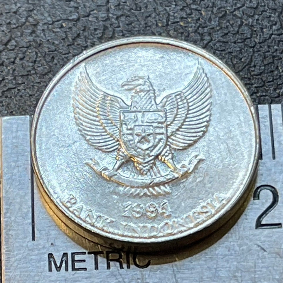 Nutmeg & Garuda 25 Rupiah Indonesia Authentic Coin Money for Jewelry and Craft Making