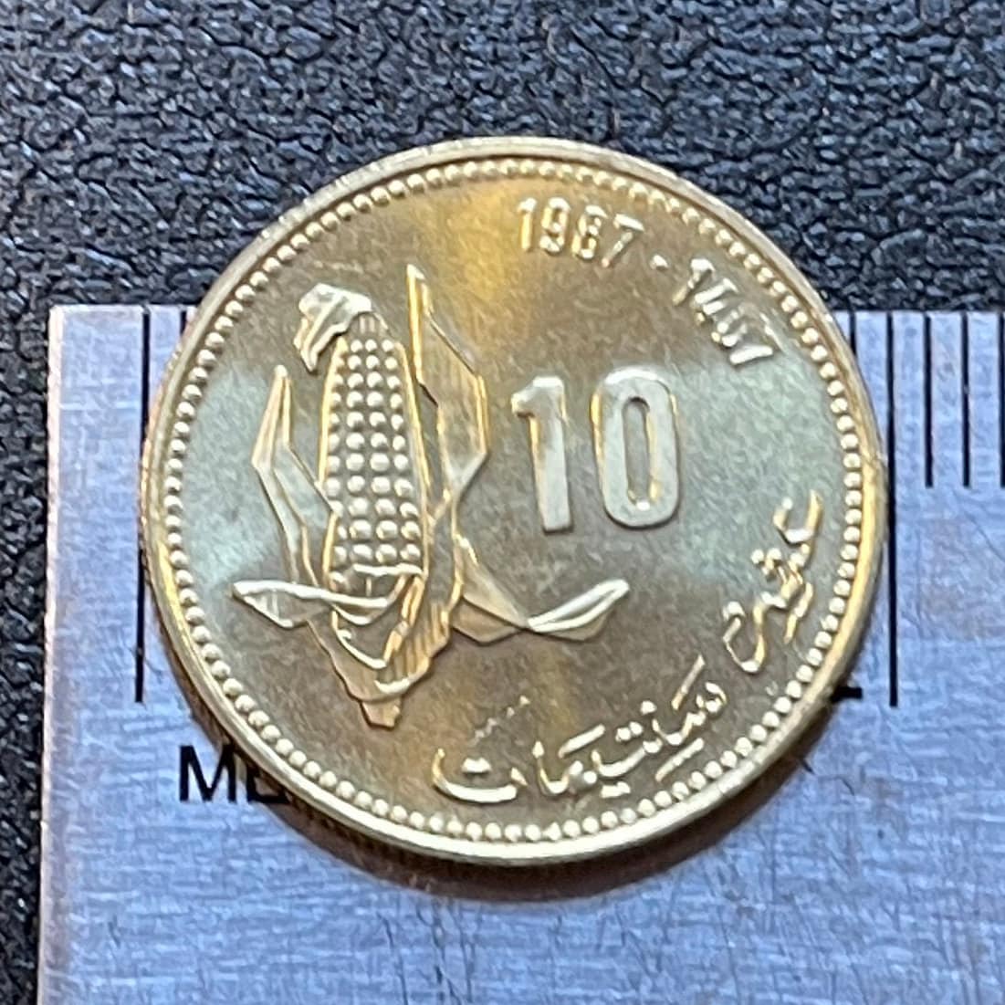 Ear of Corn 10 Santimat Morocco Authentic Coin Money for Jewelry and Craft Making (FAO)