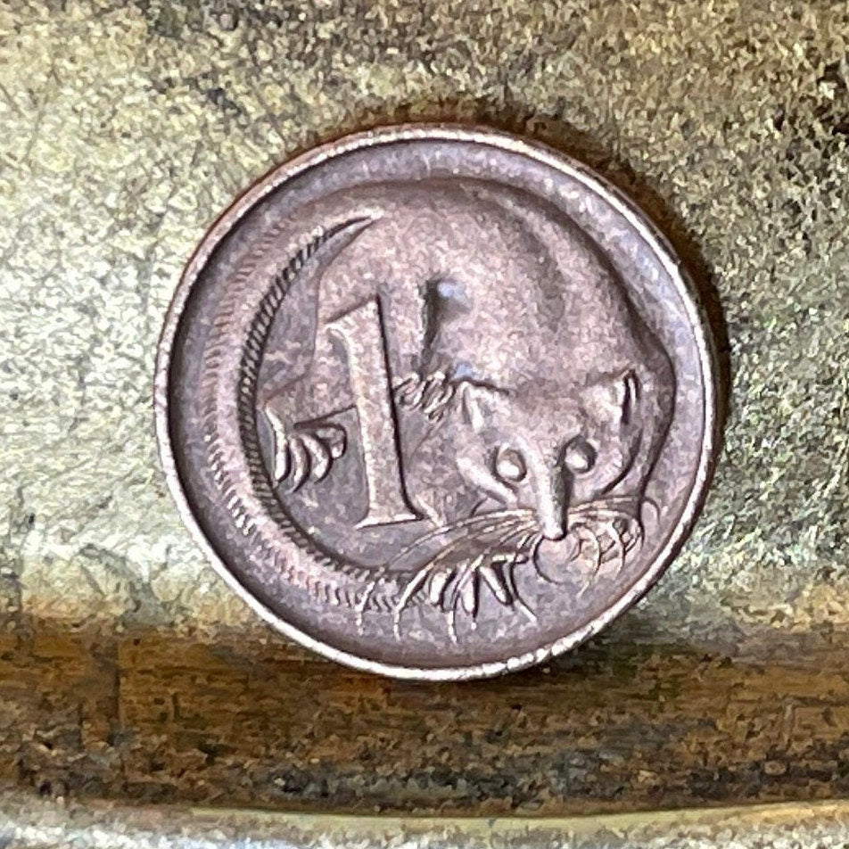 Feathertail Glider 1 Cent Australia Authentic Coin Money for Jewelry and Craft Making 1987