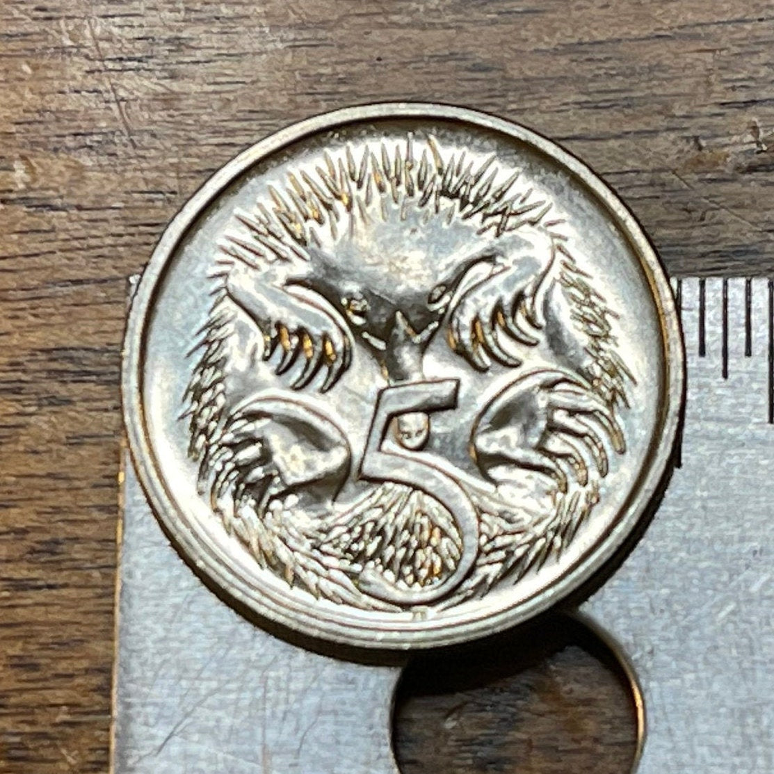 Spiny Anteater 5 Cents Australia Authentic Coin Money for Jewelry and Craft Making (Echidna) 2017