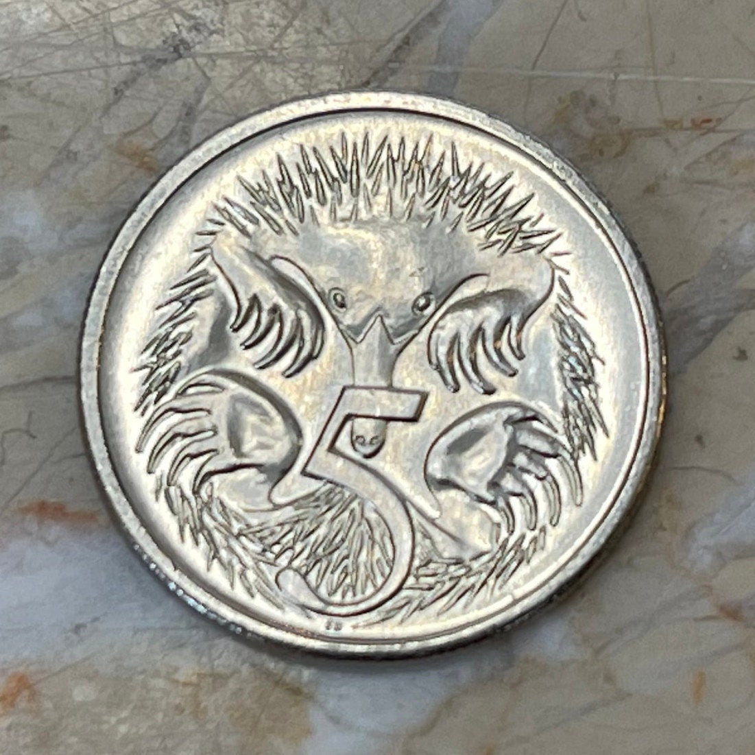 Spiny Anteater 5 Cents Australia Authentic Coin Money for Jewelry and Craft Making (Echidna) 2017