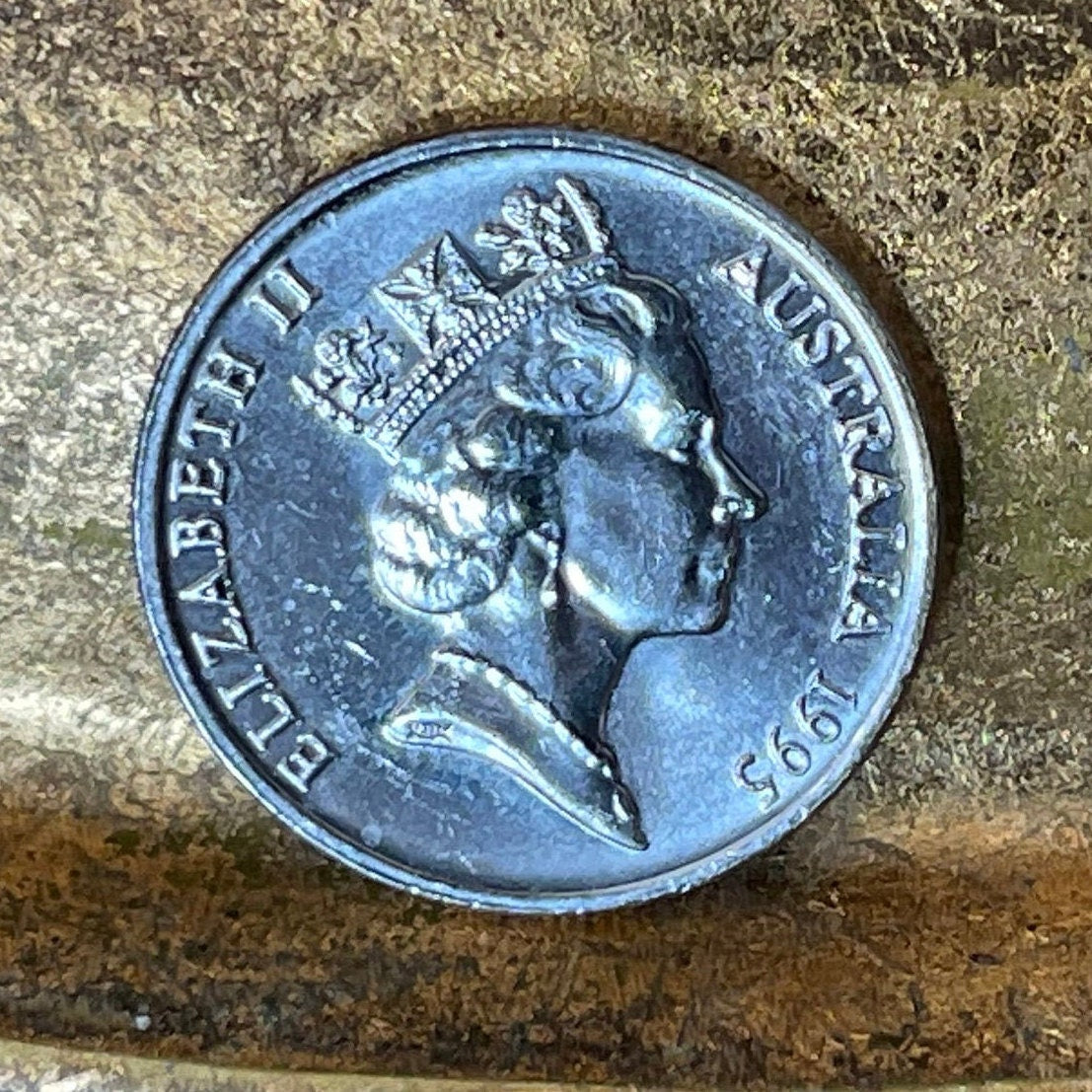 Spiny Anteater 5 Cents Australia Authentic Coin Money for Jewelry and Craft Making (Echidna) 2017