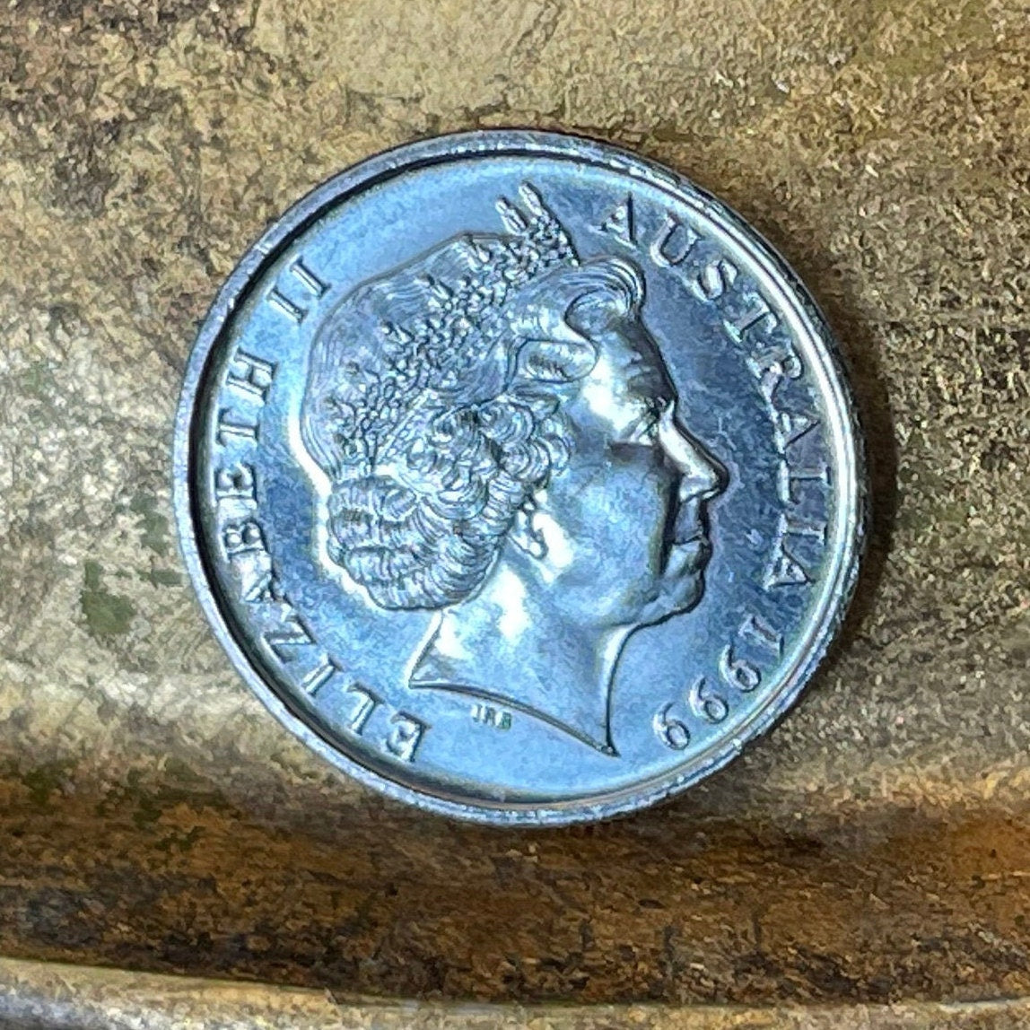 Spiny Anteater 5 Cents Australia Authentic Coin Money for Jewelry and Craft Making (Echidna) 2017