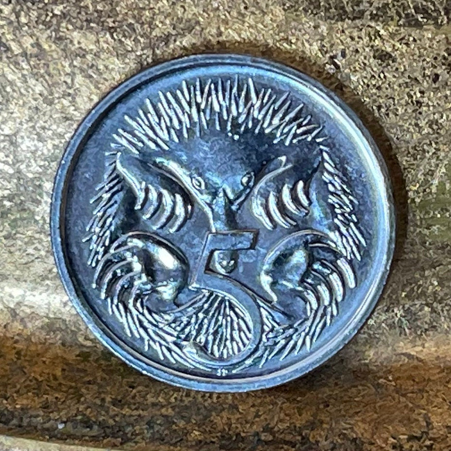 Spiny Anteater 5 Cents Australia Authentic Coin Money for Jewelry and Craft Making (Echidna) 2017