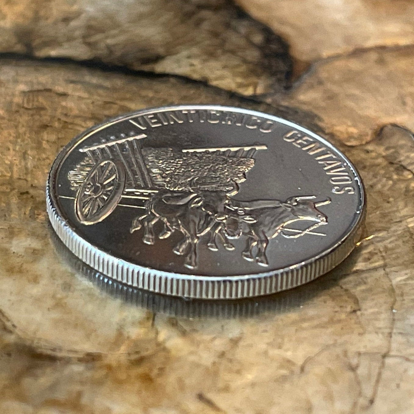 Oxen w/Sugar-cart 25 Centavos Dominican Republic Authentic Coin Money for Jewelry and Craft Making