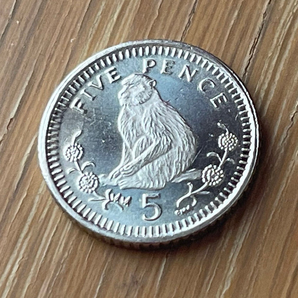 Barbary Macaque 5 Pence Gibraltar Authentic Coin Money for Jewelry and Craft Making
