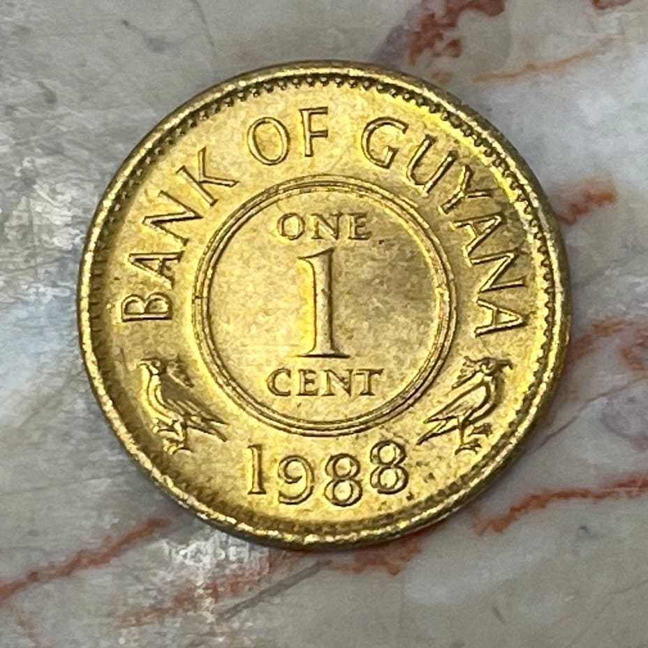 Lotus Flowers 1 Cent Guyana Authentic Coin Money for Jewelry and Craft Making