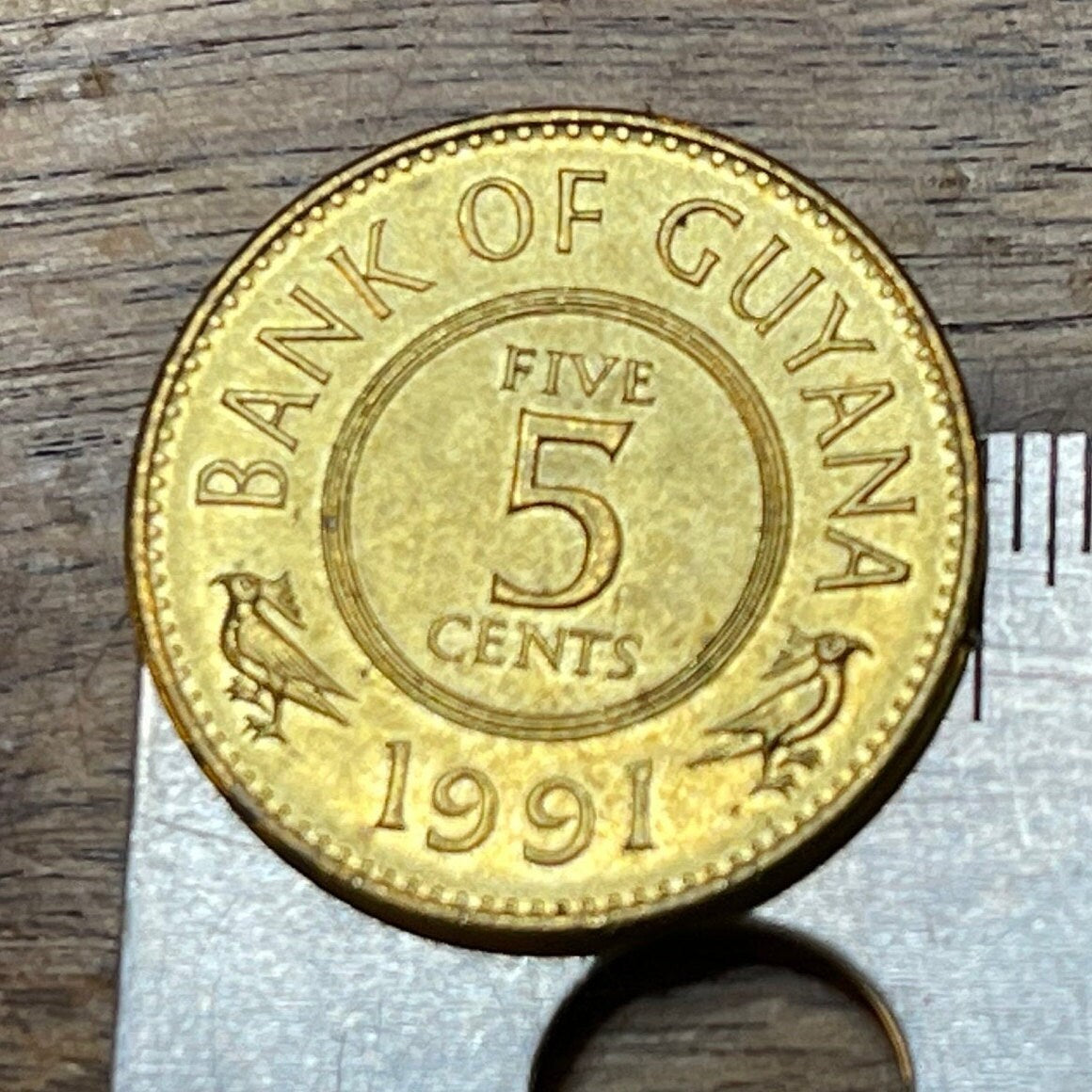 Lotus Flowers 5 Cents Guyana Authentic Coin Money for Jewelry and Craft Making
