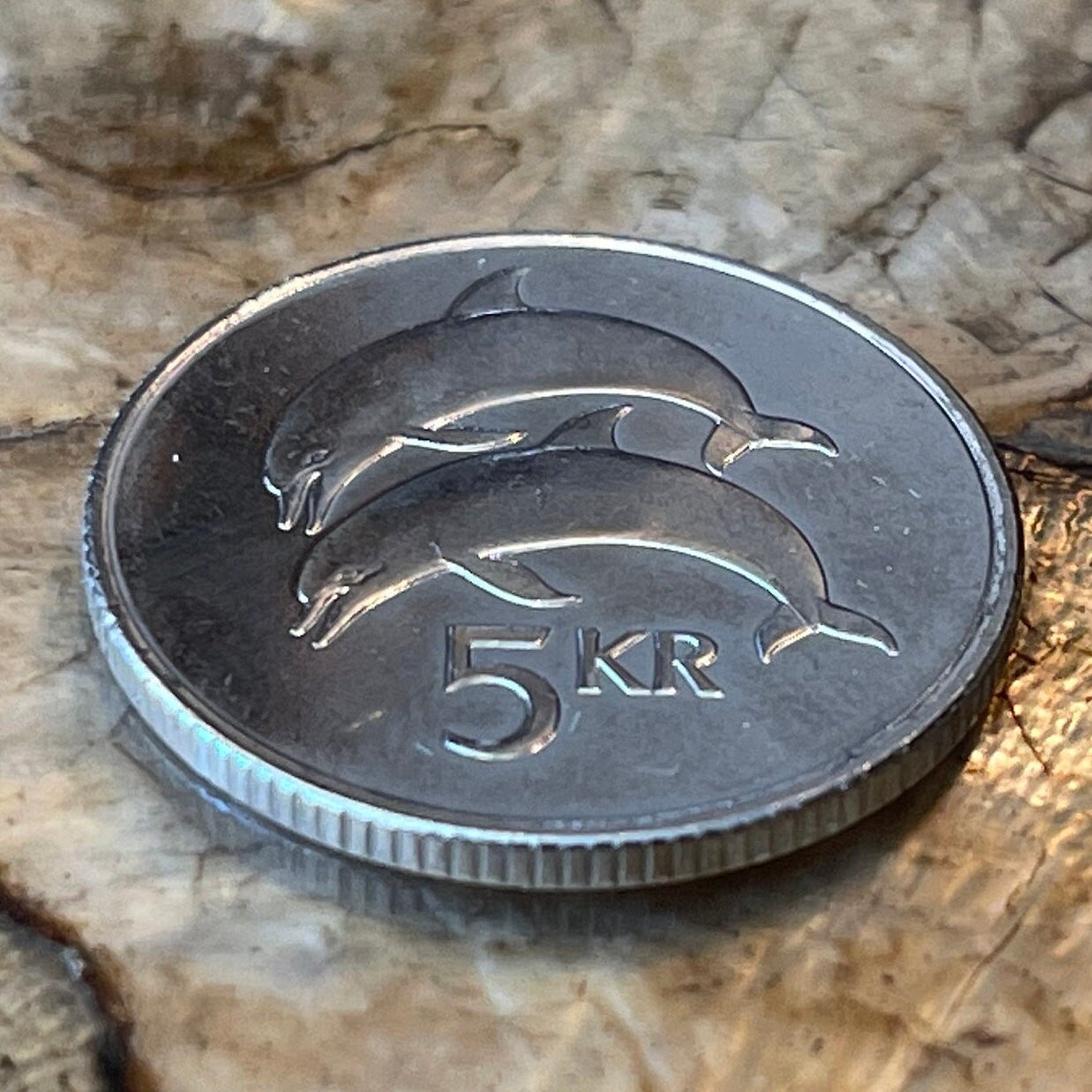 Two Dolphins 5 Kronur Iceland Authentic Coin Money for Jewelry and Craft Making