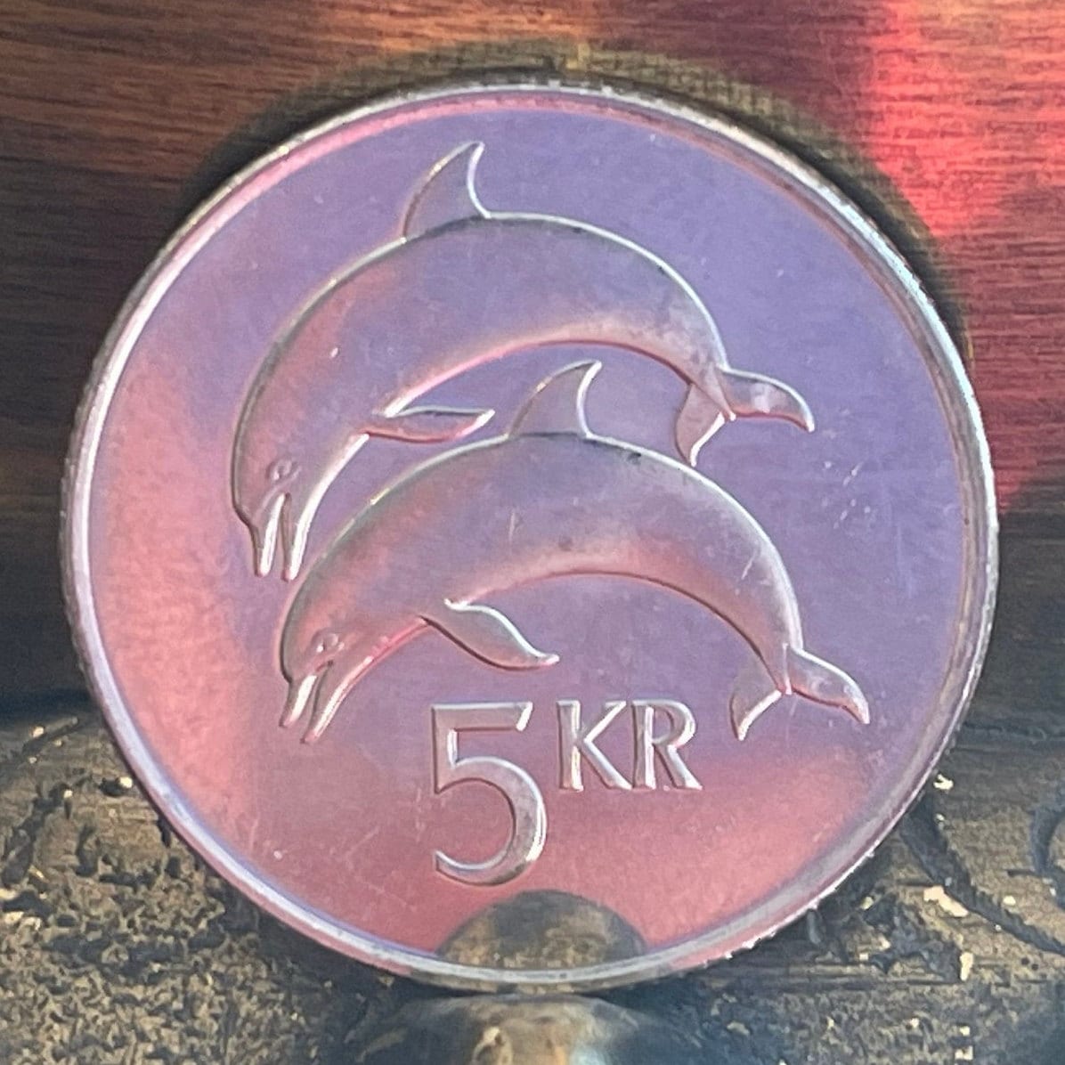 Two Dolphins 5 Kronur Iceland Authentic Coin Money for Jewelry and Craft Making