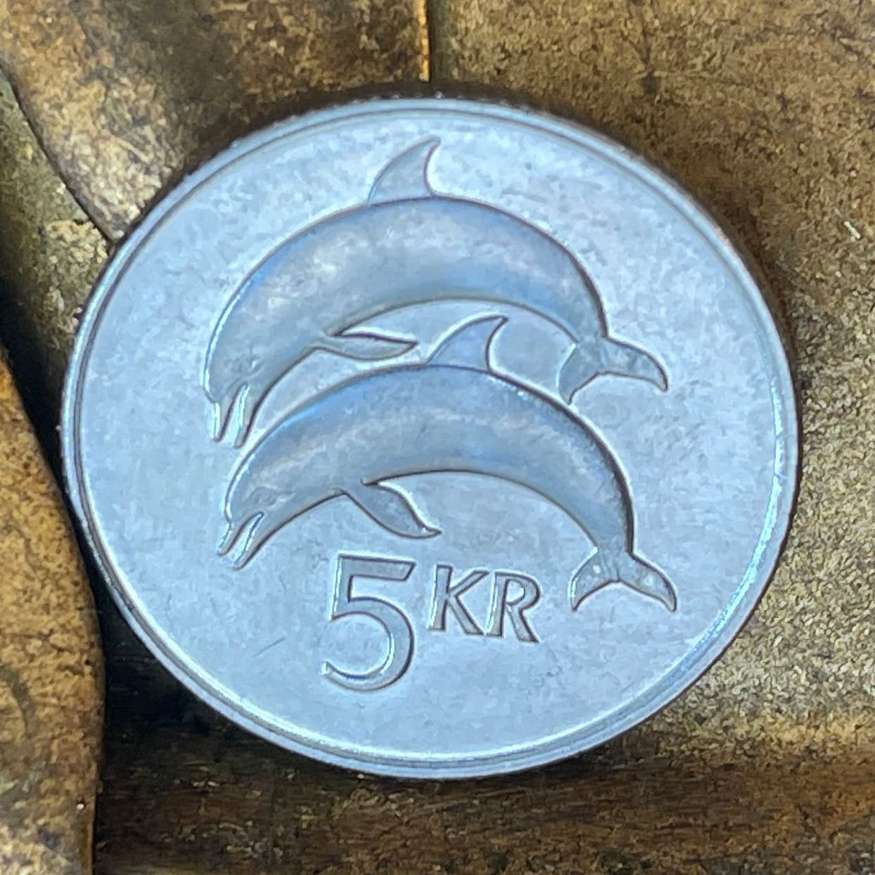 Two Dolphins 5 Kronur Iceland Authentic Coin Money for Jewelry and Craft Making