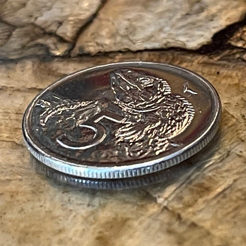 Tuatara 5 Cents New Zealand Authentic Coin Money for Jewelry and Craft Making