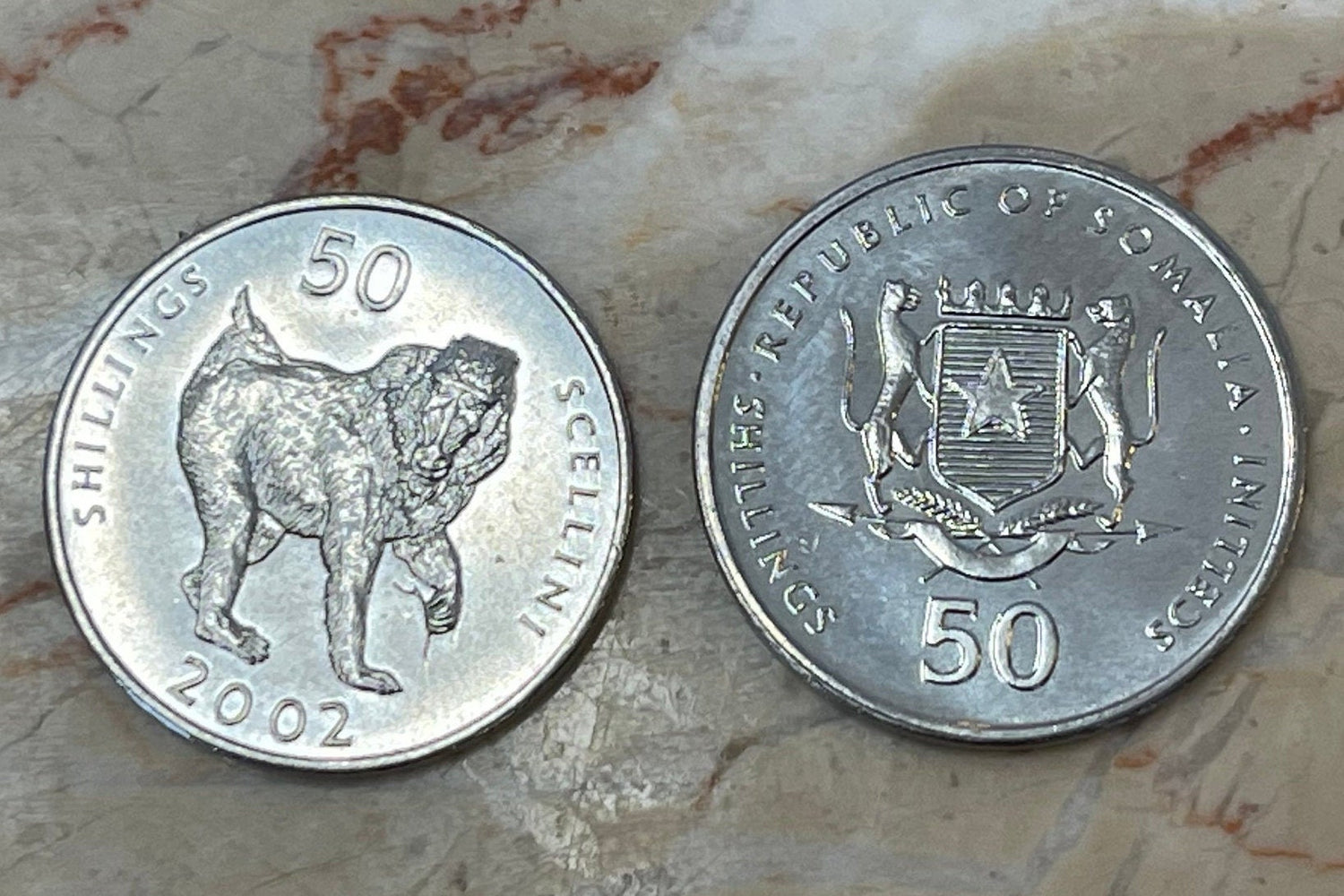 Mandrill 50 Shillings Somalia Authentic Coin Money for Jewelry and Craft Making
