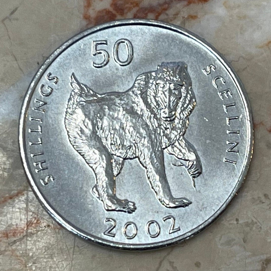 Mandrill 50 Shillings Somalia Authentic Coin Money for Jewelry and Craft Making