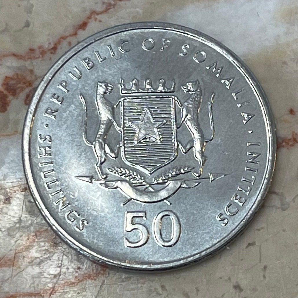 Mandrill 50 Shillings Somalia Authentic Coin Money for Jewelry and Craft Making