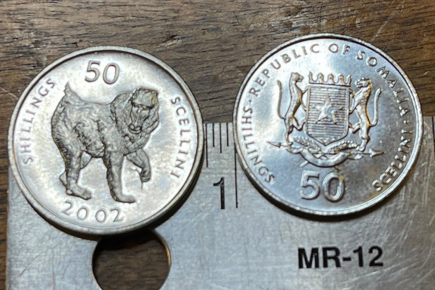 Mandrill 50 Shillings Somalia Authentic Coin Money for Jewelry and Craft Making