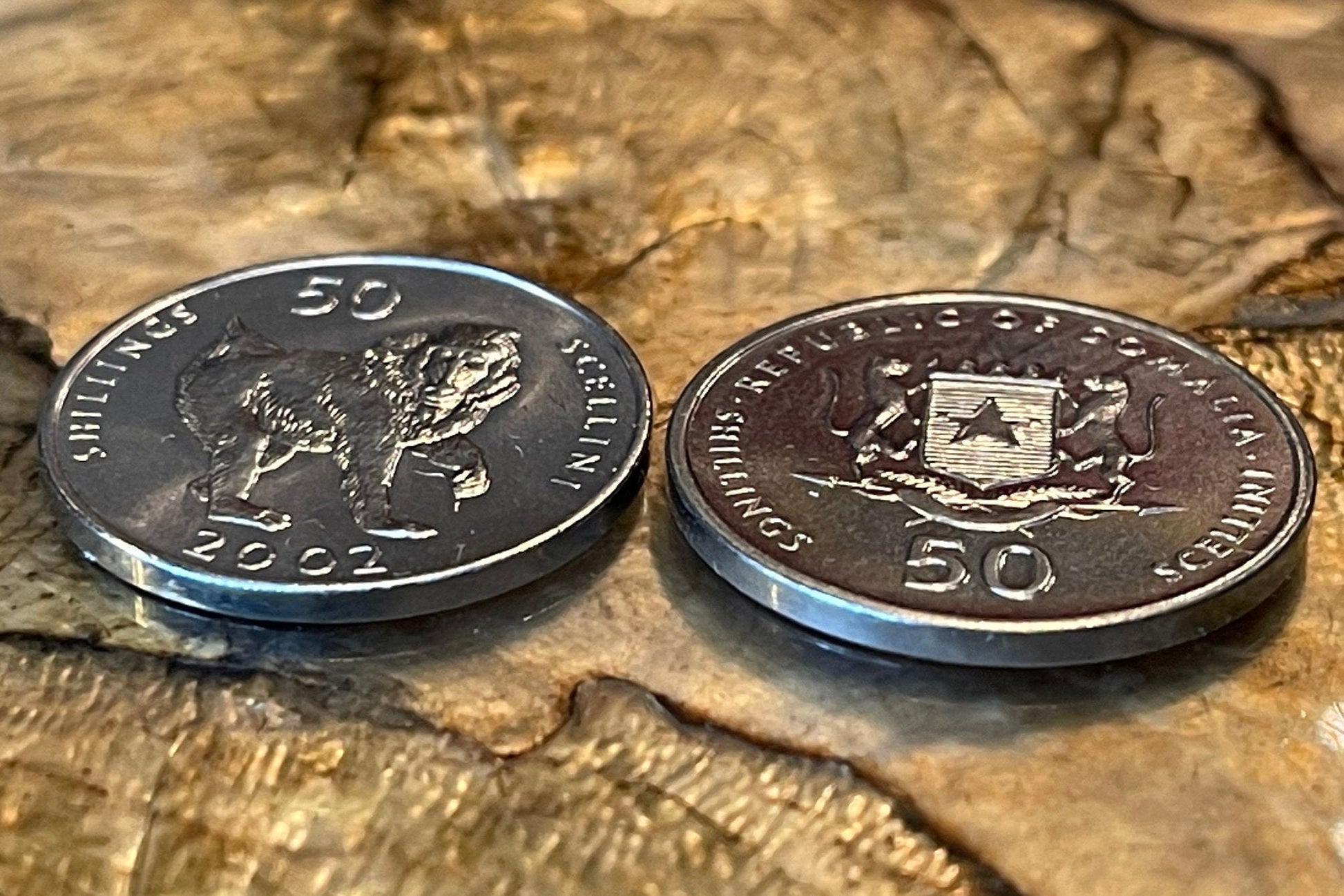 Mandrill 50 Shillings Somalia Authentic Coin Money for Jewelry and Craft Making