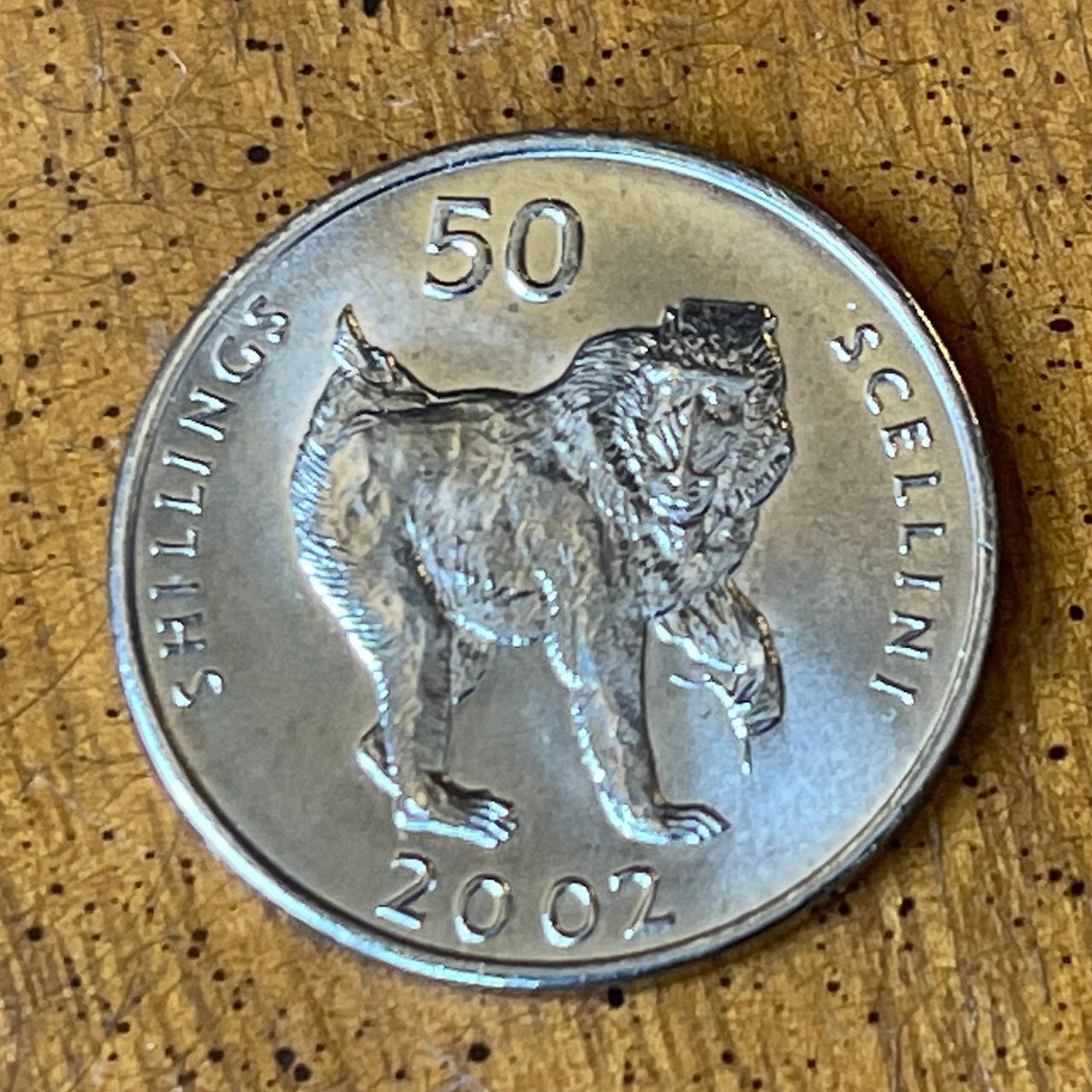 Mandrill 50 Shillings Somalia Authentic Coin Money for Jewelry and Craft Making