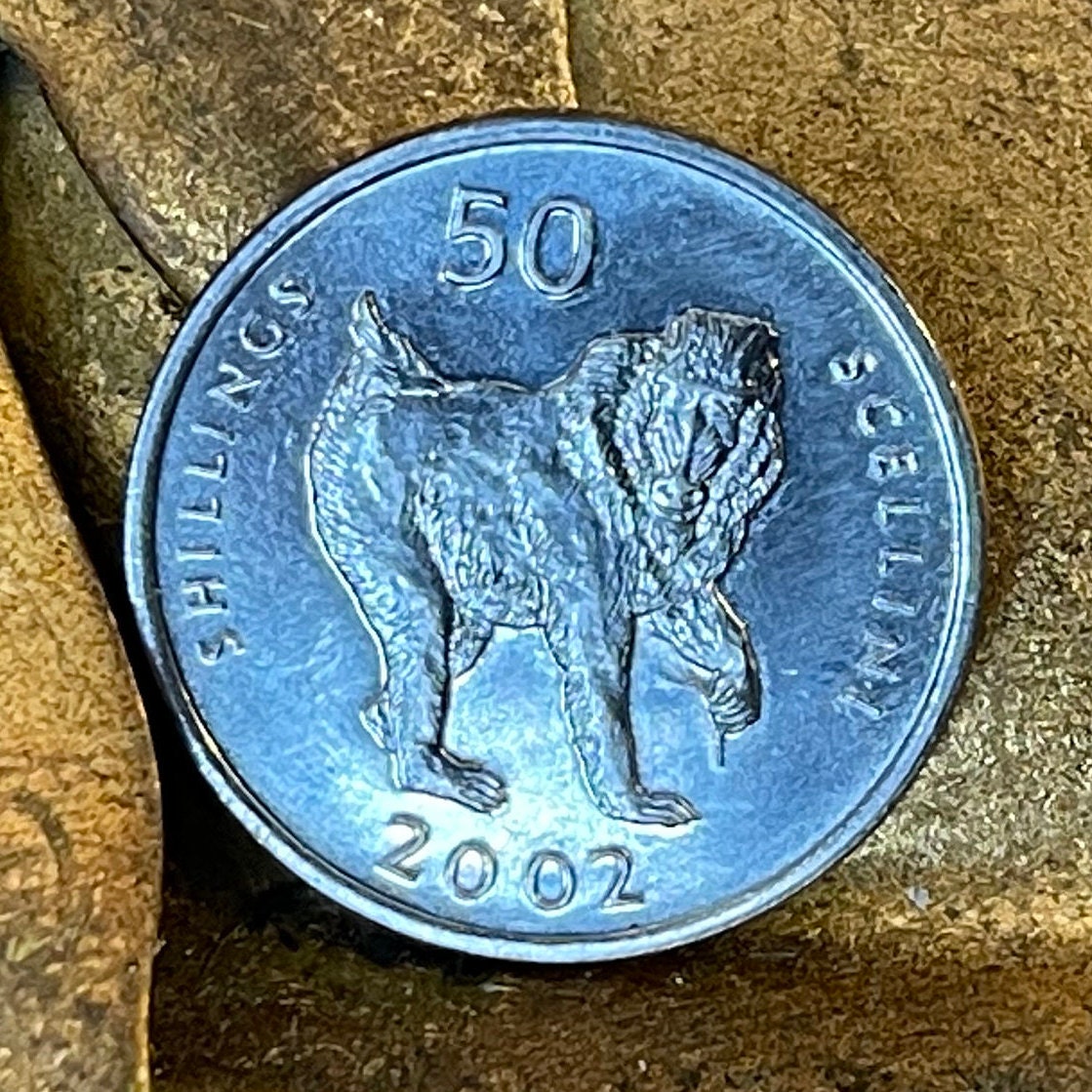 Mandrill 50 Shillings Somalia Authentic Coin Money for Jewelry and Craft Making