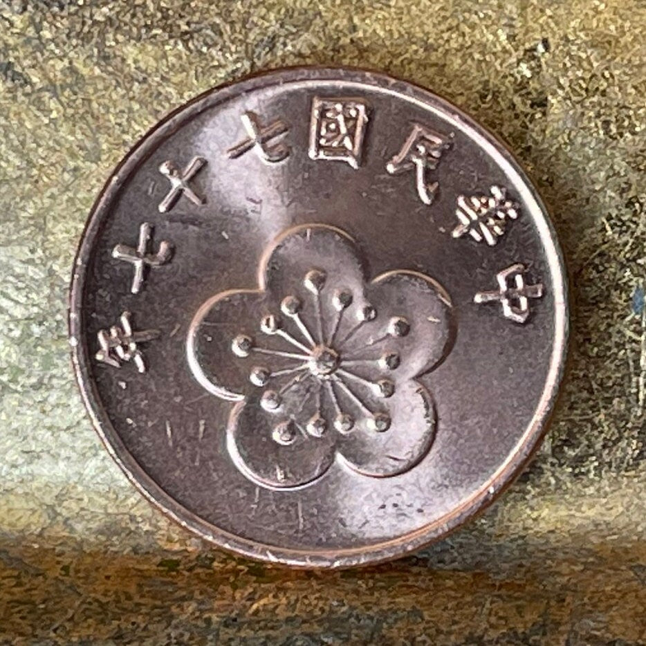 Flower, Tree & Mountain Coins