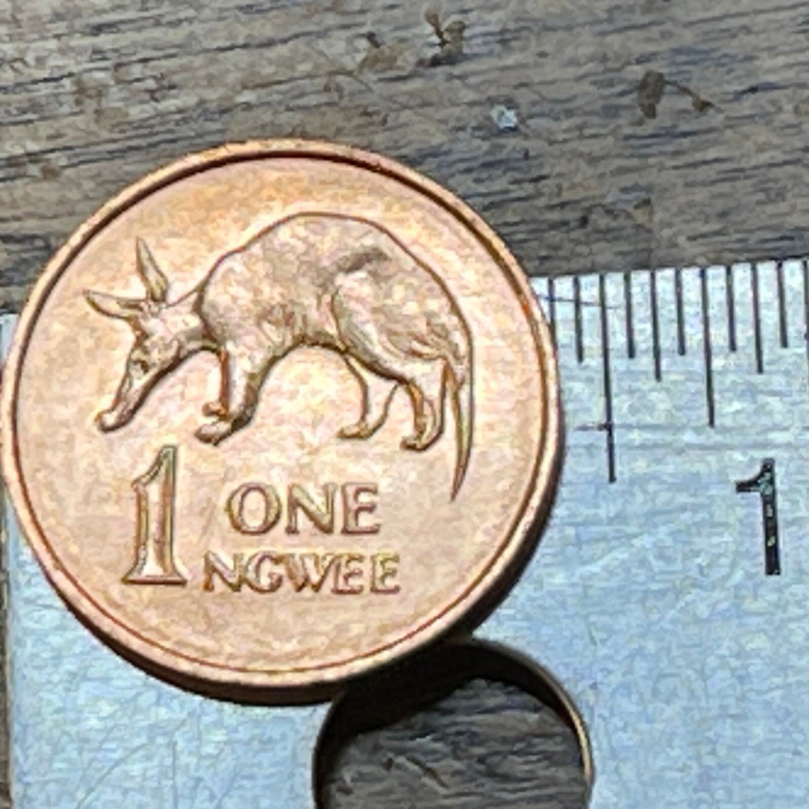 Kenneth Kaunda 1 Ngwee Zambia Authentic Coin Money for Jewelry and Craft Making (Aardvark)