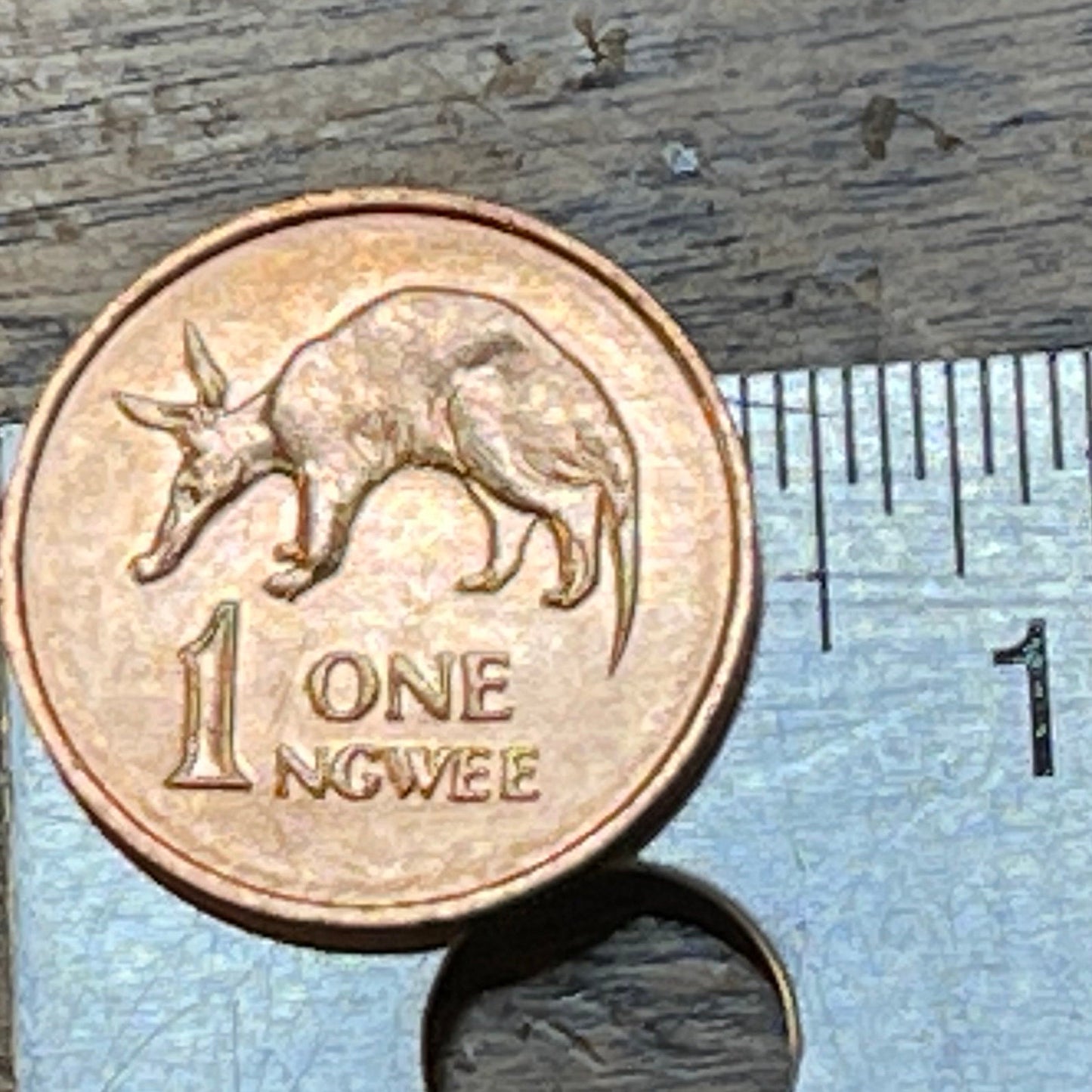 Aardvark 1 Ngwee Zambia Authentic Coin Money for Jewelry and Craft Making