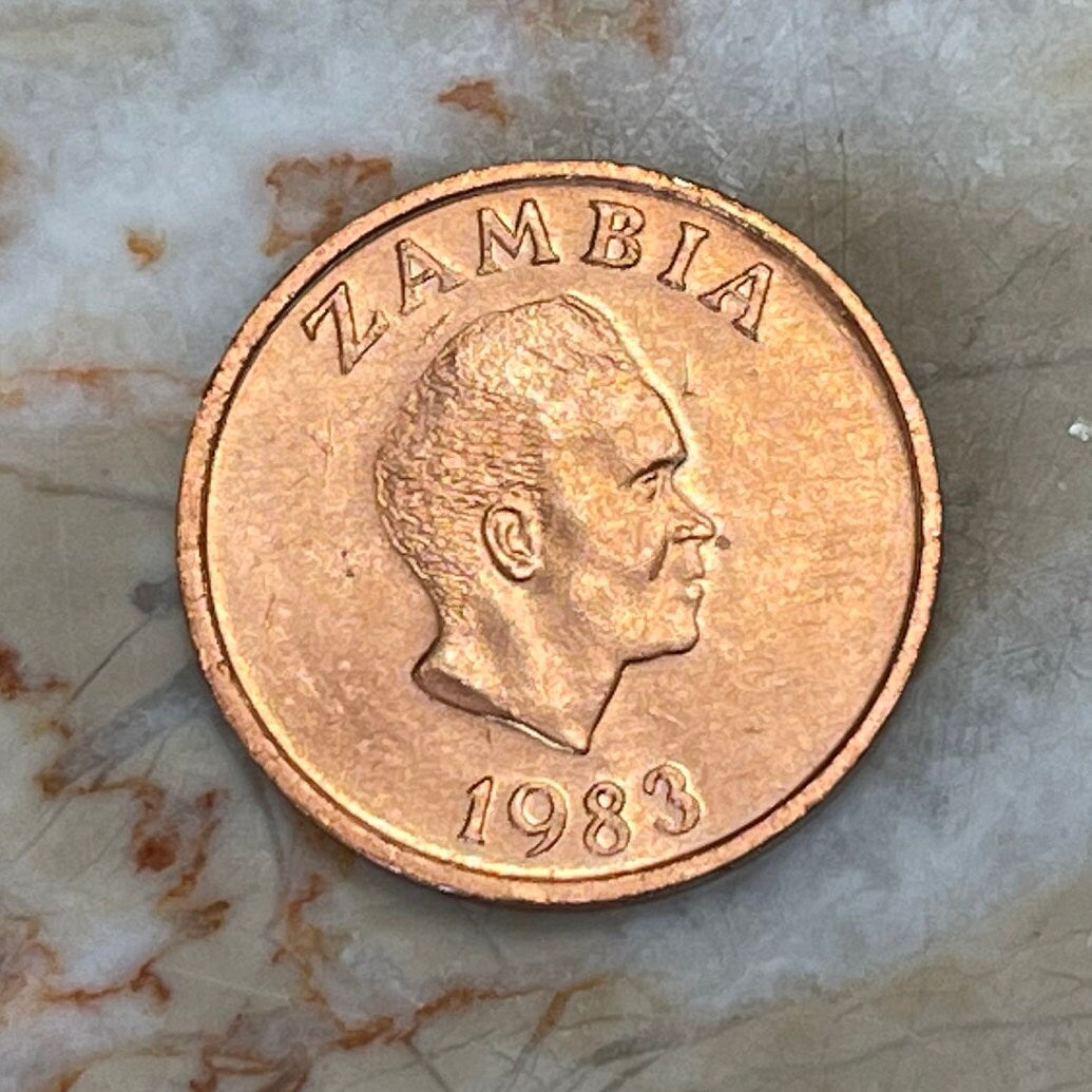 Kenneth Kaunda 1 Ngwee Zambia Authentic Coin Money for Jewelry and Craft Making (Aardvark)