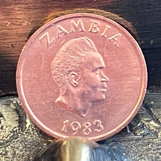 Kenneth Kaunda 1 Ngwee Zambia Authentic Coin Money for Jewelry and Craft Making (Aardvark)