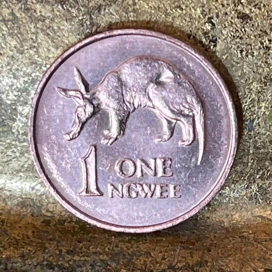 Kenneth Kaunda 1 Ngwee Zambia Authentic Coin Money for Jewelry and Craft Making (Aardvark)