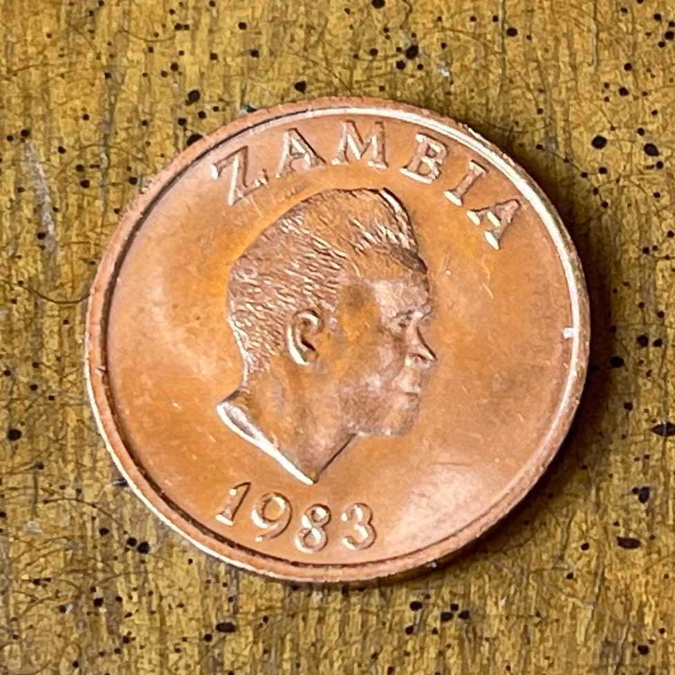Kenneth Kaunda 1 Ngwee Zambia Authentic Coin Money for Jewelry and Craft Making (Aardvark)