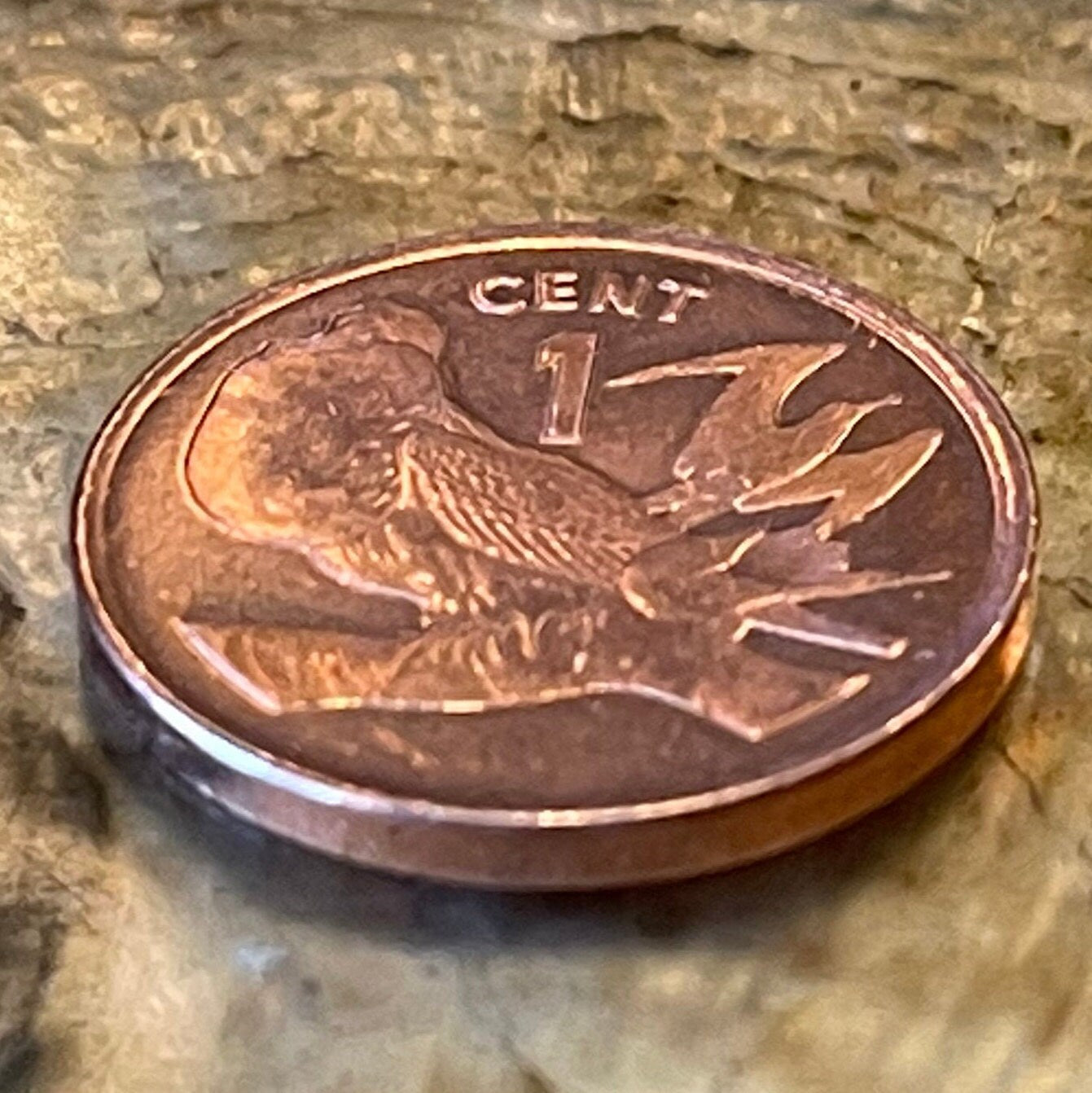 Frigate Bird Kiribati Authentic Coin Money Penny for Jewelry and Craft Making