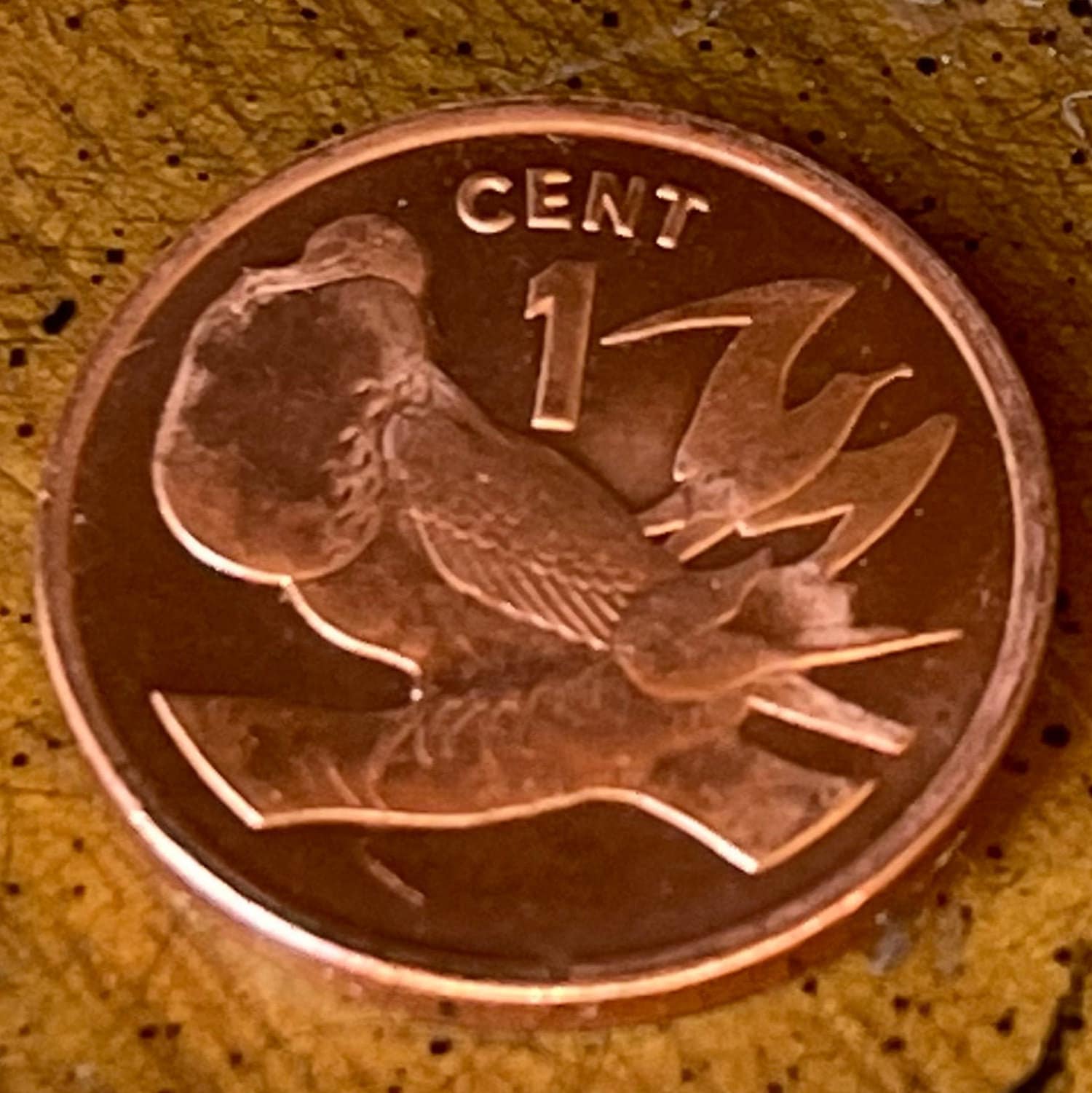 Frigate Bird Kiribati Authentic Coin Money Penny for Jewelry and Craft Making