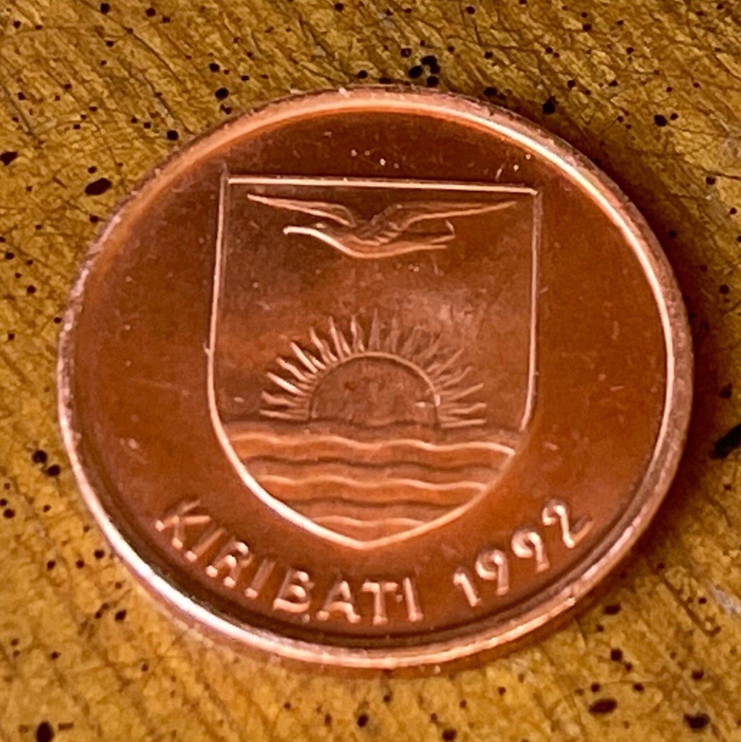 Frigate Bird Kiribati Authentic Coin Money Penny for Jewelry and Craft Making