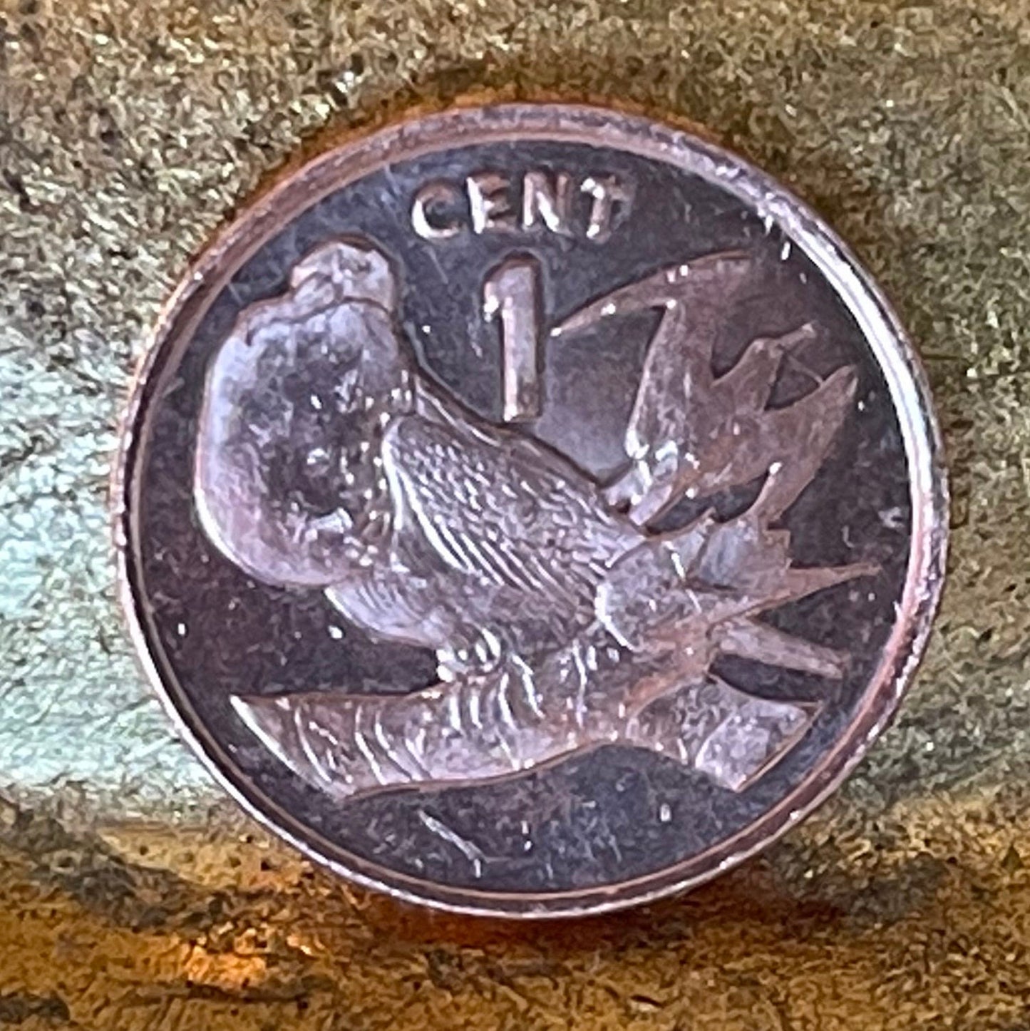 Frigate Bird Kiribati Authentic Coin Money Penny for Jewelry and Craft Making