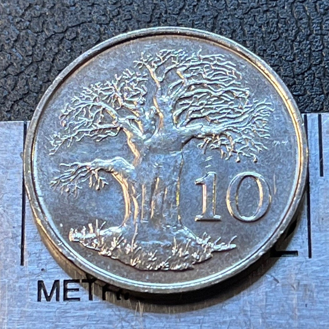 Zimbabwe Bird & Baobab Tree 10 Cents Bacheleur Eagle Authentic Coin Money for Jewelry and Craft Making