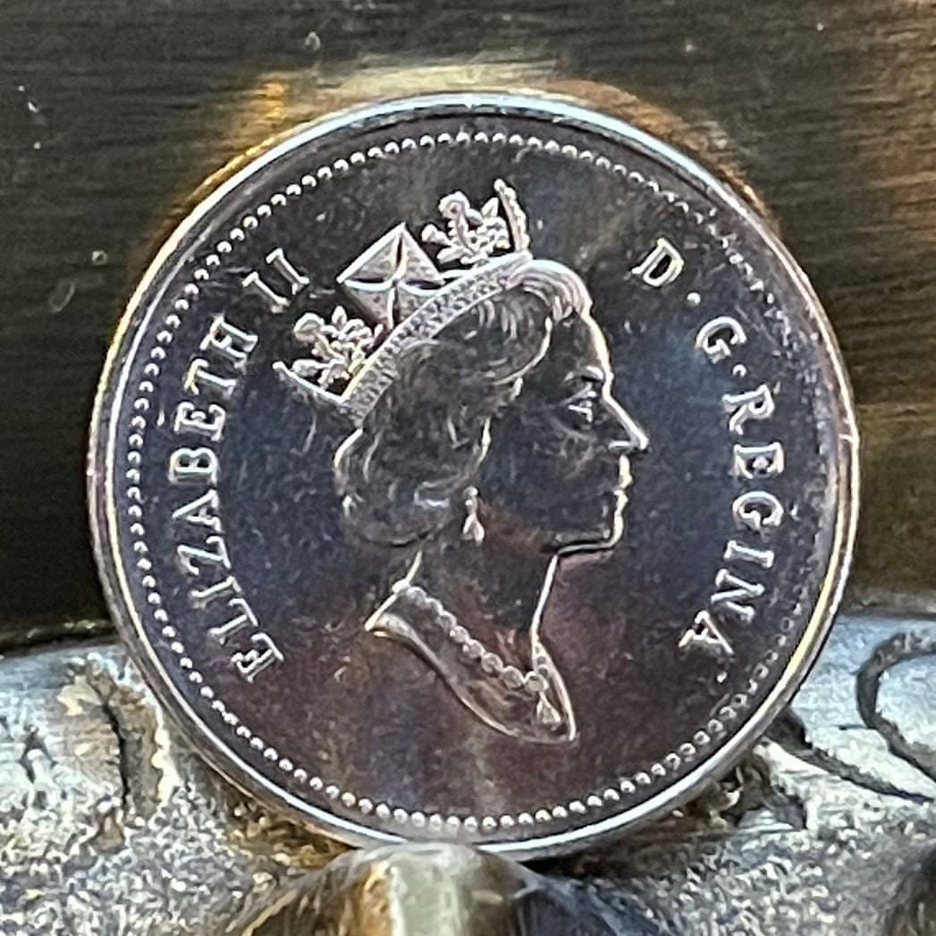 Beaver & Queen Elizabeth Canada 5 Cents Authentic Coin Money for Jewelry and Craft Making