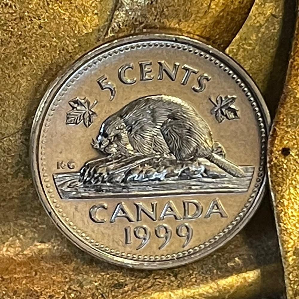 Beaver & Queen Elizabeth Canada 5 Cents Authentic Coin Money for Jewelry and Craft Making