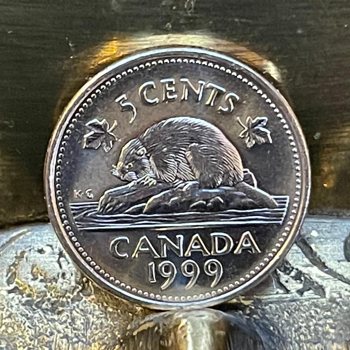 Beaver & Queen Elizabeth Canada 5 Cents Authentic Coin Money for Jewelry and Craft Making