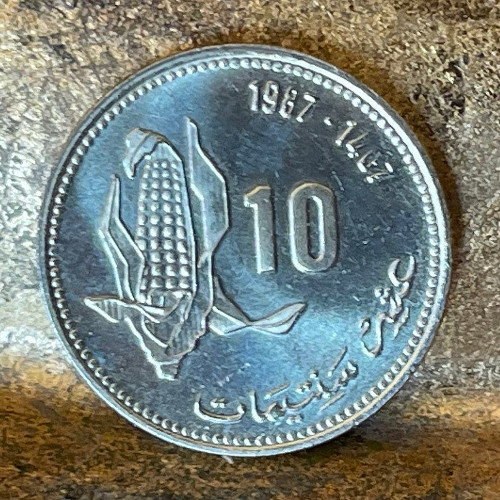 Ear of Corn 10 Santimat Morocco Authentic Coin Money for Jewelry and Craft Making (FAO)