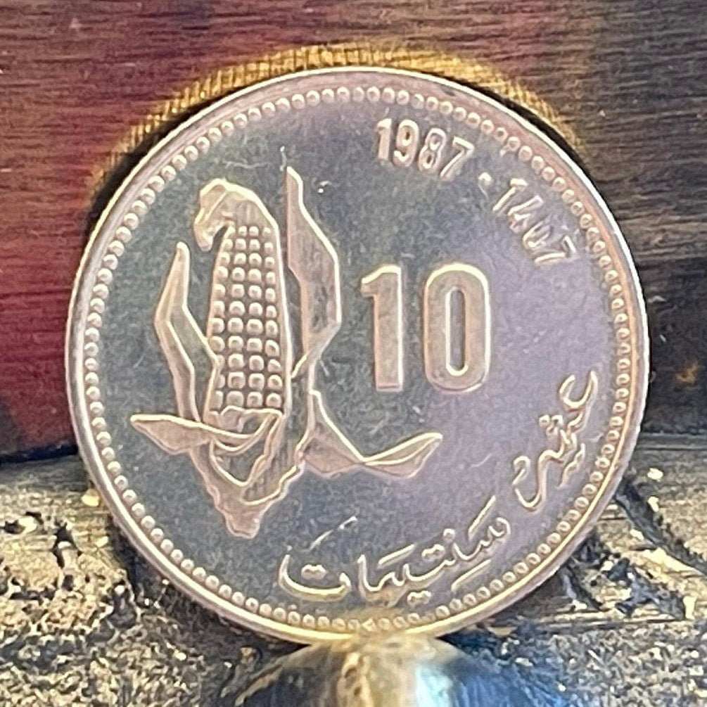 Ear of Corn 10 Santimat Morocco Authentic Coin Money for Jewelry and Craft Making (FAO)