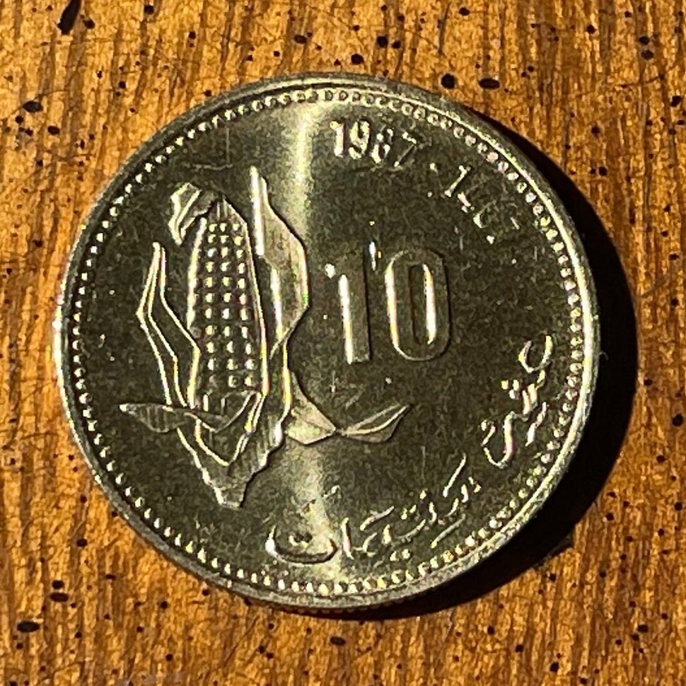 Ear of Corn 10 Santimat Morocco Authentic Coin Money for Jewelry and Craft Making (FAO)