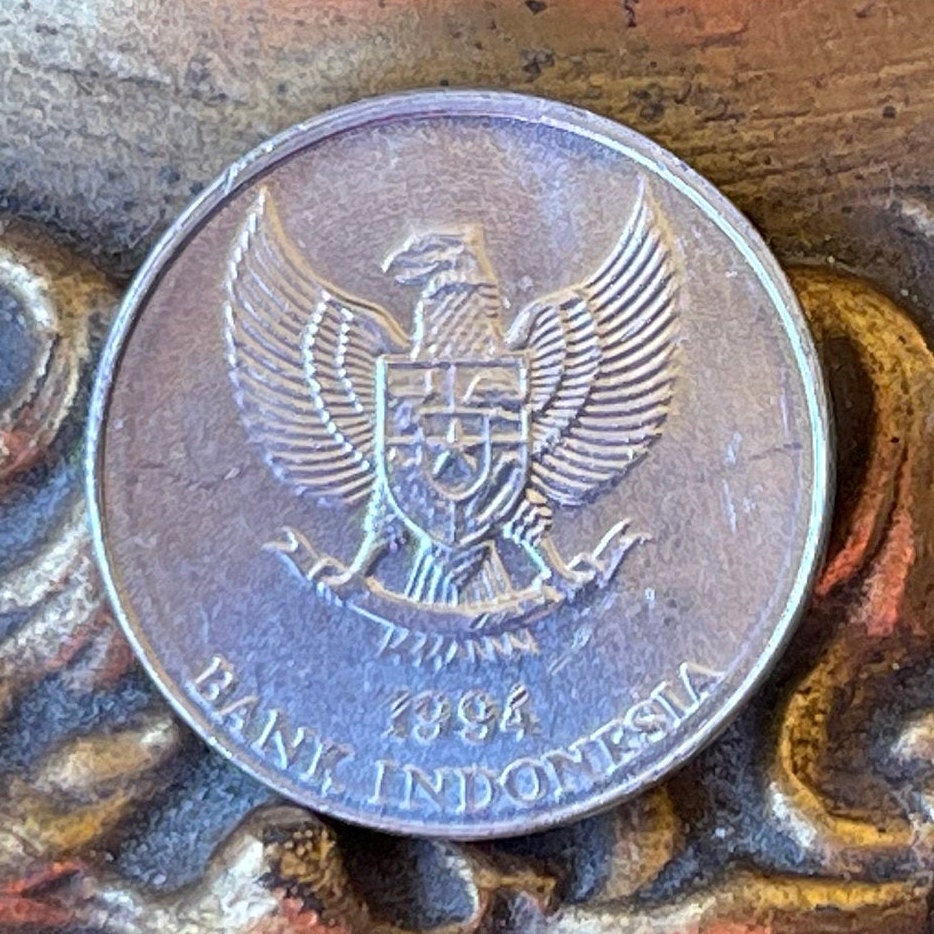 Nutmeg & Garuda 25 Rupiah Indonesia Authentic Coin Money for Jewelry a ...