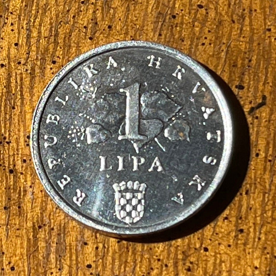 Ears of Corn 1 Lipa Croatia Authentic Coin Money for Jewelry and Craft Making (Linden Tree)
